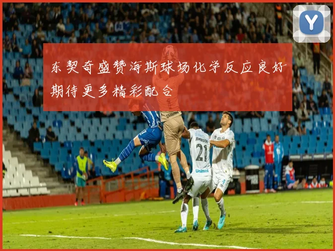 东契奇盛赞海斯球场化学反应良好期待更多精彩配合